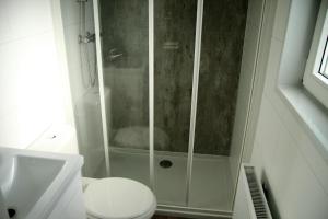 DrijberChalet Landlust的带淋浴、卫生间和盥洗盆的浴室