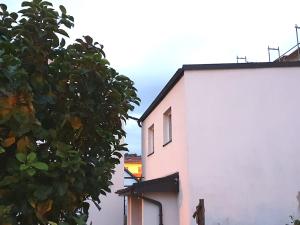 弗赖塔尔Apartment in Saxony in a charming area的一座白色的建筑,旁边是树