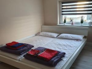 弗赖塔尔Apartment in Saxony in a charming area的一张带两个枕头的床和窗户