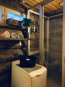 鲁卡Holiday Home Ruka Etelärinne 10 B的带淋浴和卫生间的浴室。