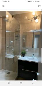 维勒班Appartement Laurent Bonnevay的带淋浴、盥洗盆和镜子的浴室