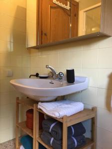 埃斯波特Apartament familiar - Els Encantats - Espot的浴室配有盥洗盆、镜子和毛巾