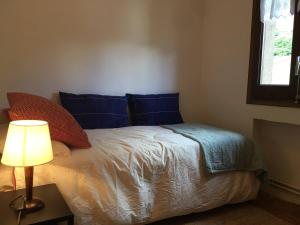 埃斯波特Apartament familiar - Els Encantats - Espot的一间卧室配有一张带蓝色枕头和一盏灯的床。