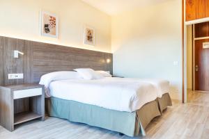 雷诺萨维约酒店的一间卧室配有一张大床和木制床头板