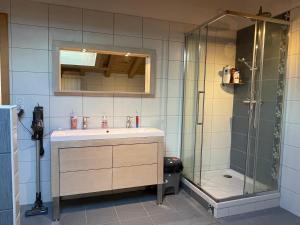 拉穆拉Chambre privée au pied des pistes - Chambre chez l'habitant - ChaletNelda com的一间带水槽和淋浴的浴室