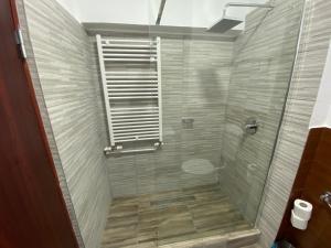 彼得罗沙尼Hotel Petroshani srl的带淋浴的浴室和玻璃门