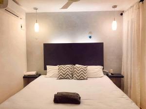 巴利亚多利德Casa Sol Y Luna Luxury Valladolid Yucatán的卧室配有一张带两个枕头的大白色床