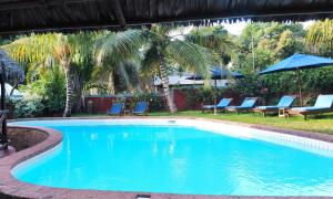 阿姆巴托洛阿卡月光曲旅馆的一个带蓝色椅子的游泳池,棕榈树