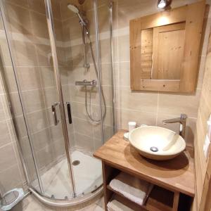 蒂涅Appartement au lac ski aux pieds的带淋浴和盥洗盆的浴室