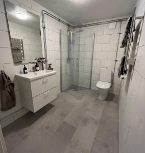 Apartment in Halmstad City Centre的一间浴室