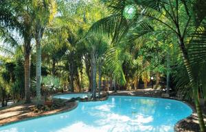 白河eBundu Lodge的棕榈树环绕的大型游泳池