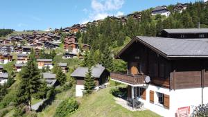 贝特默阿尔卑Chalet Foresta的山村,山丘上的房子