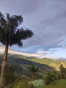 瓜拉廷格塔Pousada e restaurante Além das Nuvens的棕榈树,享有山景
