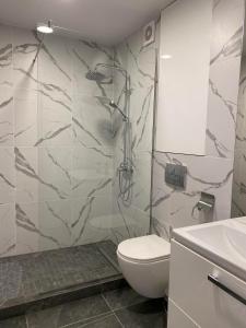 第聂伯罗Prestige Apartments Berezinka的带淋浴、卫生间和盥洗盆的浴室