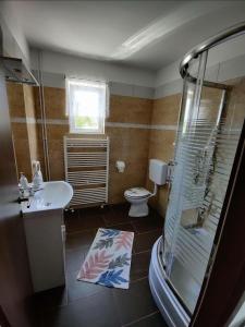 LičApartman Niki的带淋浴、盥洗盆和卫生间的浴室
