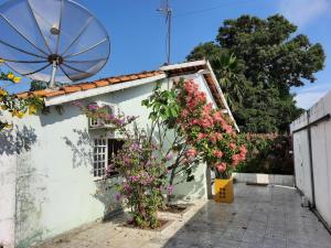 卡罗莱纳Casa para temporada - Chapada das Mesas的白色的房子,有鲜花和雨伞