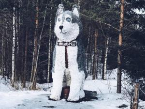 Poselok-MatrosyGuesthouse Husky Moa的雪中一只狗的雕像