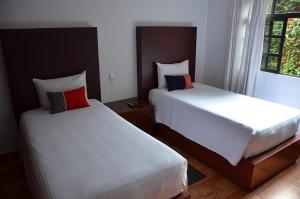墨西哥城La Casita de Coyoacán的一间卧室设有两张床和窗户。