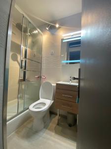 德沃吕伊STUDIO COCOONING SUPERDEVOLUY PIED DES PISTES的浴室配有卫生间、淋浴和盥洗盆。