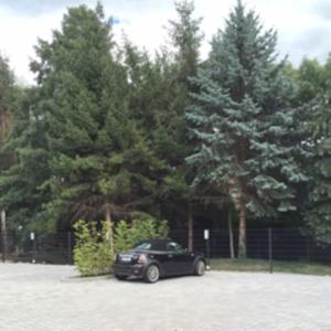 桑格豪森Gästehaus Ritter & Pacia, Ferienwohnung 2. Etage的一辆黑色的汽车停在一个树木繁茂的停车场