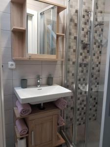 布尔诺附近斯拉夫科夫Apartmán V aleji的一间带水槽和玻璃淋浴的浴室