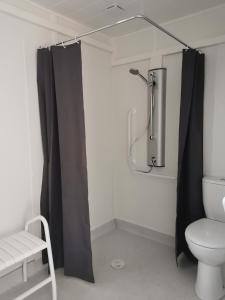 BagnolsAuvergne chalets Sancy的带淋浴帘和卫生间的浴室