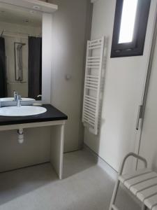 BagnolsAuvergne chalets Sancy的一间带水槽和镜子的浴室