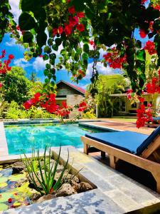 马勒勒角The Good Life Eco Lodges - Healthy Lifestyle and Non Smoking Resort - Adult only的一个带长凳和红色鲜花的游泳池
