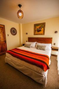 安托法加斯塔Hostal Geosol的一间卧室配有一张带条纹毯子的大床