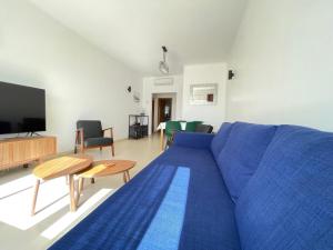 ConceiçãoCanto das Cigarras的客厅配有蓝色的沙发和电视