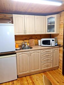 基辅Деревянный 2-х комнатный домик的厨房配有白色冰箱和微波炉