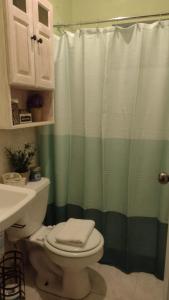 基督教堂市Michand Guest Apartment- Cozy one/two bedroom- 5 minutes from airport.的浴室设有卫生间和绿色淋浴帘。