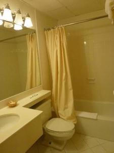 斯坦福德Amsterdam Hotel的浴室配有卫生间、盥洗盆和淋浴。