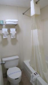 沃特维尔巴吉特侯斯特机场旅馆的浴室配有白色卫生间和淋浴。