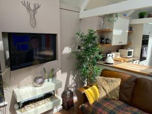 南安普敦Winsor Croft的客厅配有沙发和墙上的电视