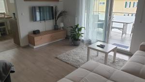 布尔Boardingappartement Windeckblick, ruhige, zentrale Lage mit großem Südbalkon的带沙发、电视和桌子的客厅