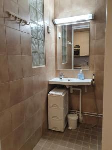 海尔迈哈尔玛嘉实坎洛玛公寓酒店的一间带水槽和镜子的浴室