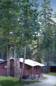 克劳德克罗夫特The Cabins at Cloudcroft的树林中树木的房屋