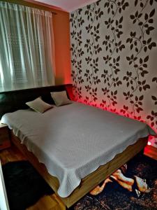 斯雷姆斯卡米特罗维察Apartman ESPRESSO sa parkingom的红色墙壁的房间里一张床位