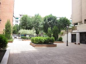格拉纳达伊琳娜玛丽亚酒店的城市里种满灌木和树木的庭院