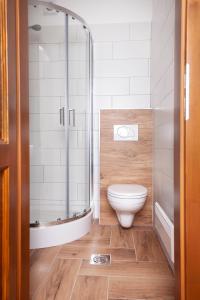 迈泽克韦什德HVT Comfort Apartments的一间带卫生间和淋浴的浴室