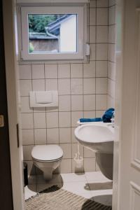赫尔博恩Waldblick Herborn的一间带卫生间和水槽的浴室