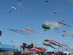 迪耶普Le Loft de Flore的一群风筝在天空中飞翔