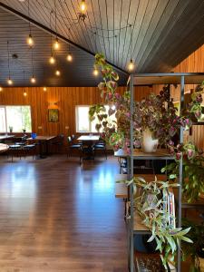 ValþjófsstaðurHengifoss Guesthouse的大房间,里面摆放着桌子和盆栽植物