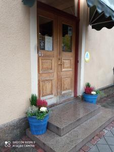 利雪平Nicolai B&B的两棵盆栽植物的房子的前门