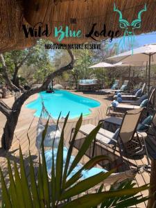 侯斯普瑞特The Wild Blue Lodge SAFARI & SPA的一个带躺椅的游泳池和一个阅读了野生蓝色逻辑的标志