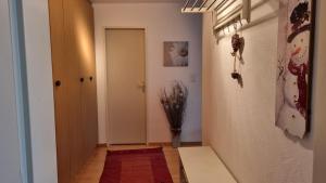 瓦尔贝拉Valnaira (282 Dä)的走廊上设有门,房间红色地毯