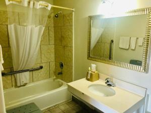 列治文山Royal Inn Richmond Hill- Savannah I-95的一间带水槽、浴缸和镜子的浴室