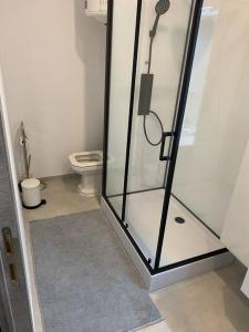 沙勒罗瓦1A01-Superbe appartement lumineux netflix gratuit的带淋浴和卫生间的浴室