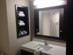 门罗门罗智选假日套房酒店的浴室配有盥洗盆、镜子和毛巾